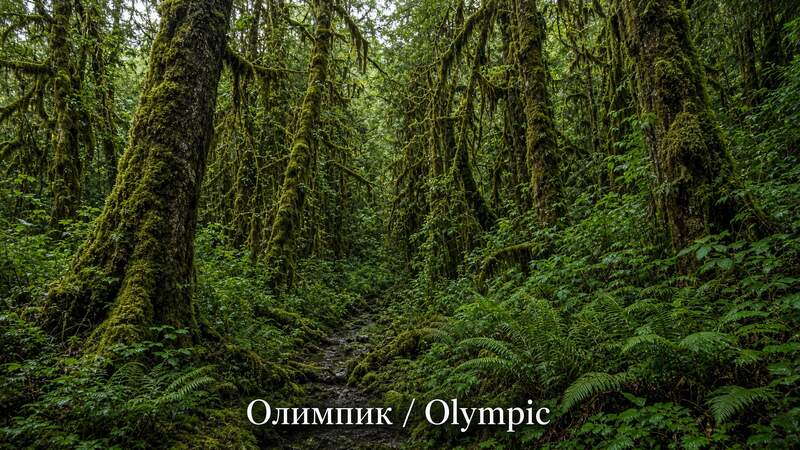 Пейзаж
