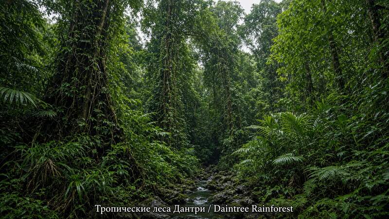 Пейзаж